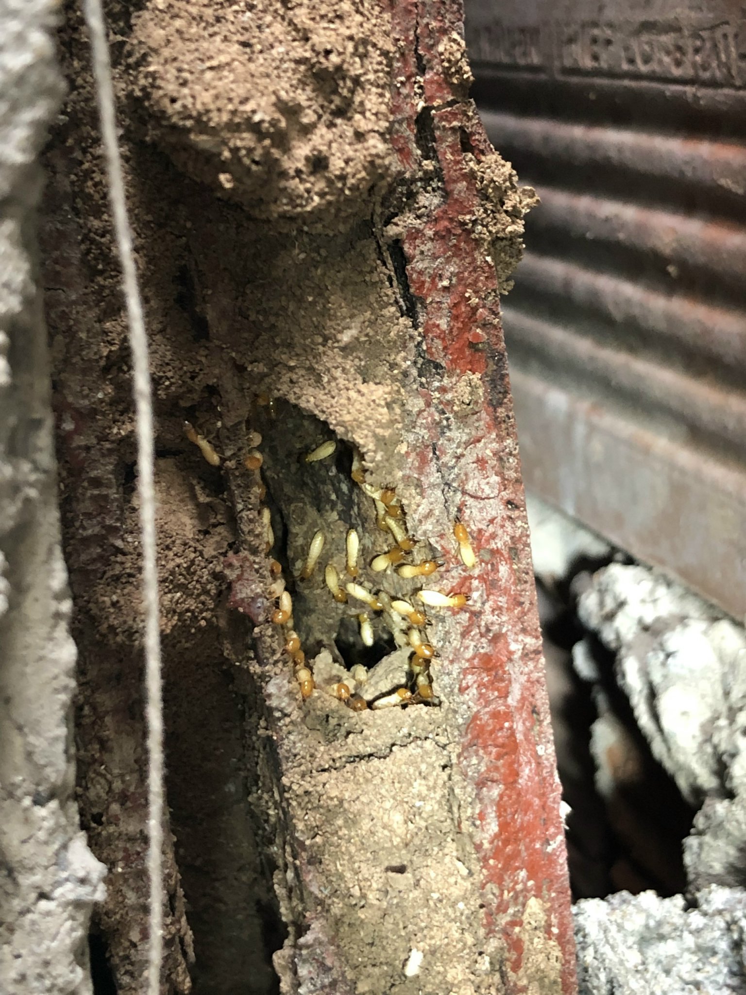 z5503426084497 3478265e799063ae01f354b9fb85ca49