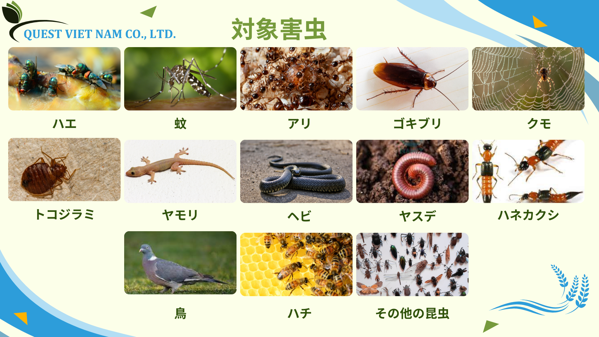 Cream and Green Modern Agriculture Company Profile Presentation